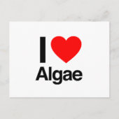 Ik hou van algen briefkaart (Voorkant)