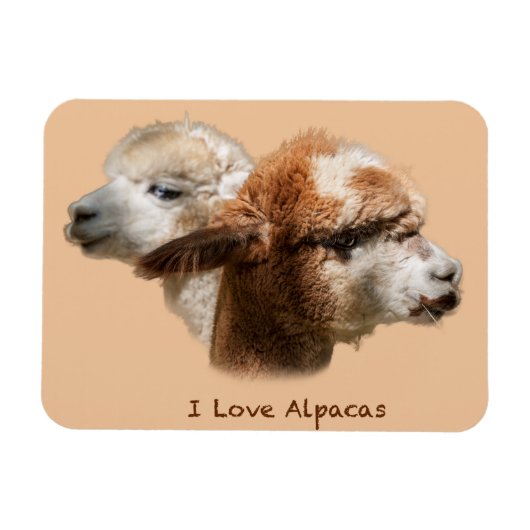 Ik hou van alpacas Magnets Magneet (Horizontaal)