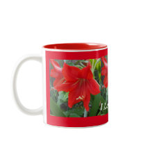 Ik hou van Amaryllis Flowers Cup