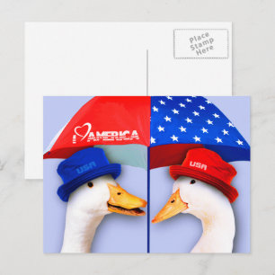 Ik hou van Amerika. Grappige Patriottische Eenden Briefkaart