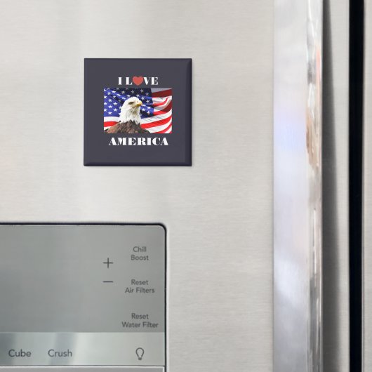 Ik hou van Amerika Magneet (Insitu (Koelkast))