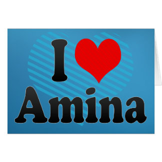 Ik hou van Amina