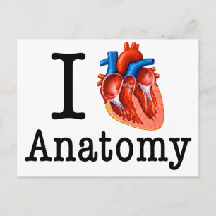 Ik hou van Anatomie Briefkaart