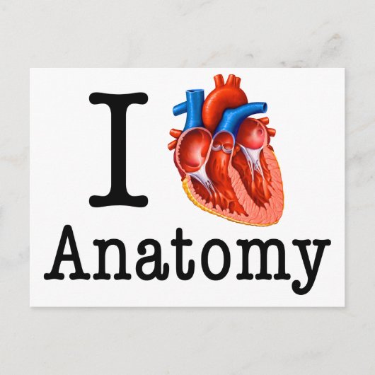 Ik hou van Anatomie Briefkaart (Voorkant)