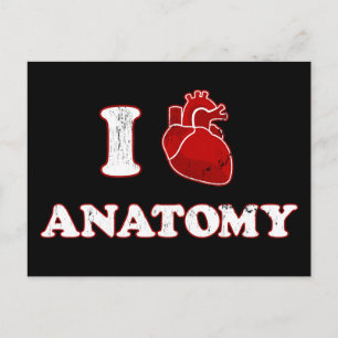 ik hou van anatomie briefkaart