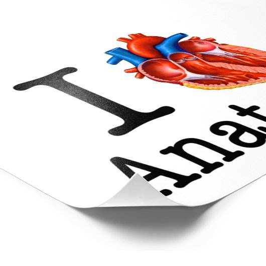 Ik hou van Anatomie Foto Afdruk (Hoek)