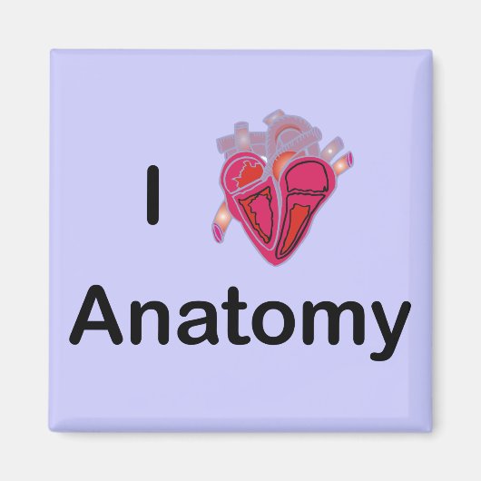 Ik hou van anatomie met menselijk hart! magneet (Voorkant)