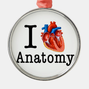Ik hou van Anatomie Metalen Ornament