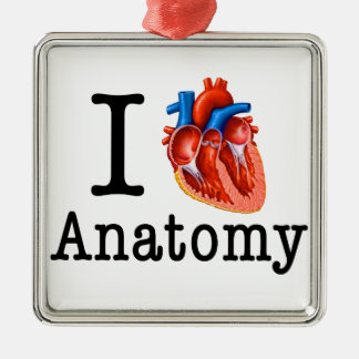 Ik hou van Anatomie Metalen Ornament
