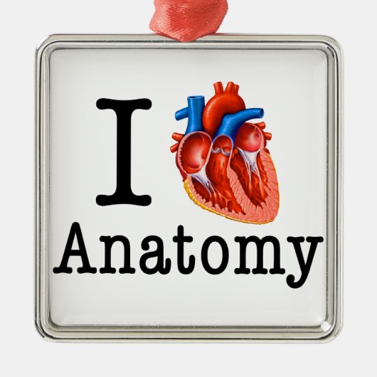 Ik hou van Anatomie Metalen Ornament (Voorkant)
