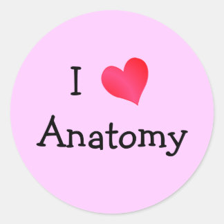 Ik hou van anatomie ronde sticker