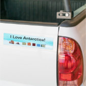 Ik hou van Antarctica! Bumpersticker (Op Truck)