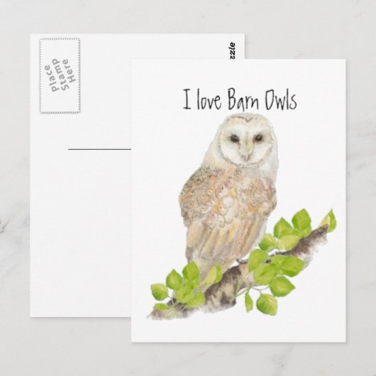 Ik hou van Barn Owls - Bird Briefkaart (Voorkant / Achterkant)