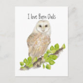 Ik hou van Barn Owls - Bird Briefkaart (Voorkant)