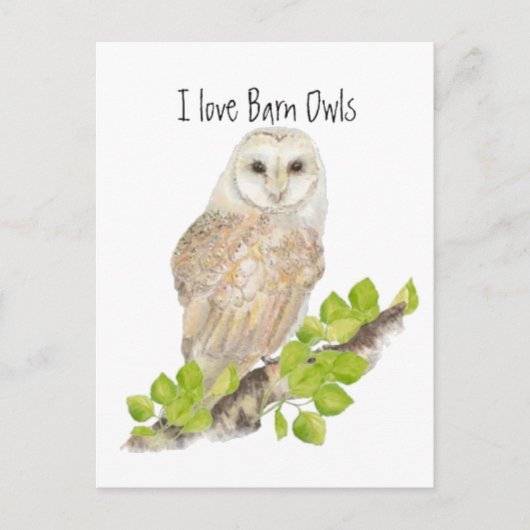 Ik hou van Barn Owls - Bird Briefkaart (Voorkant)