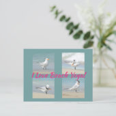 Ik hou van Beach Yoga Royal Terns Posing Fotografi Briefkaart (Staand voorkant)