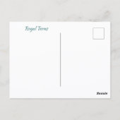 Ik hou van Beach Yoga Royal Terns Posing Fotografi Briefkaart (Achterkant)