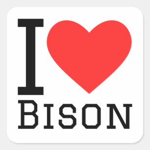 Ik hou van bizon vierkante sticker
