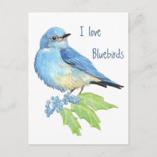 Ik hou van Blauwvogels, Collectie van vogels Briefkaart