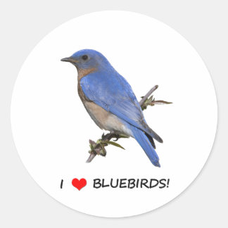 Ik hou van blauwvogels ronde sticker