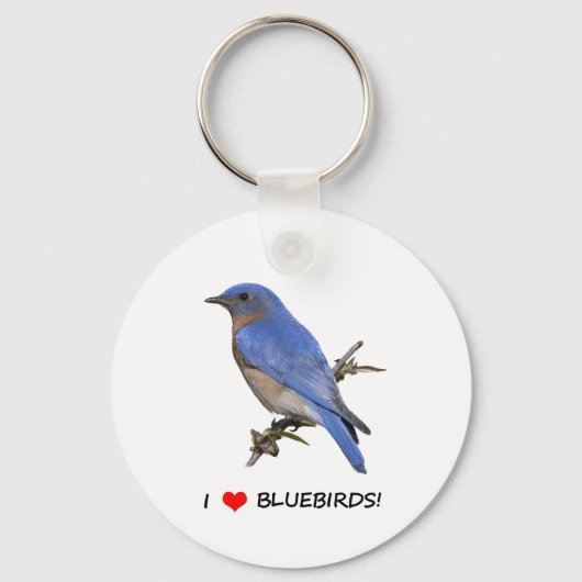 Ik hou van blauwvogels sleutelhanger (Voorkant)