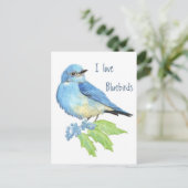 Ik hou van Bluebirds, Bird Collectie Briefkaart (Staand voorkant)