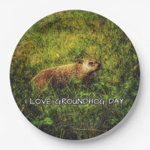 Ik hou van borden op de Groundhog Day
