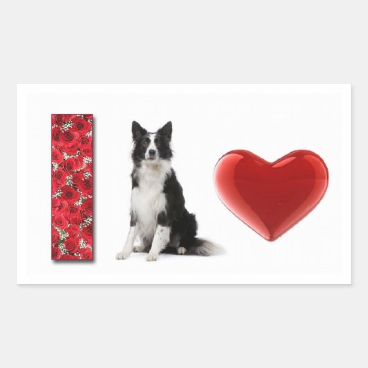 Ik hou van Border Collies!! Border Collie Sticker (Voorkant)