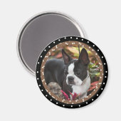 Ik hou van Boston Terrier Dogs Magneet (Voorkant / Achterkant)