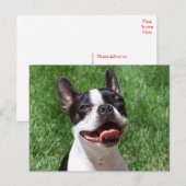 Ik hou van Boston Terrier Puppy Dog Denken aan jou Briefkaart (Voorkant / Achterkant)