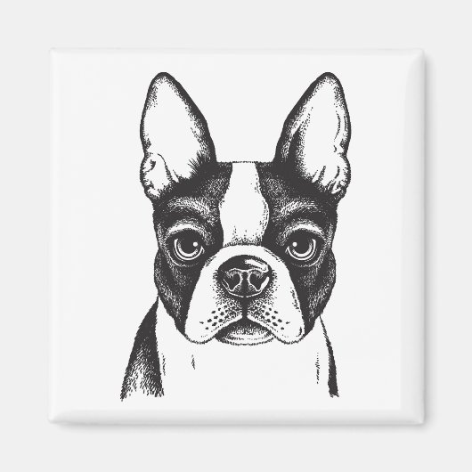 Ik hou van Boston Terriers Magneet (Voorkant)