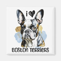 Ik hou van Boston Terriers