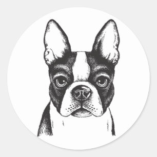 Ik hou van Boston Terriers Ronde Sticker