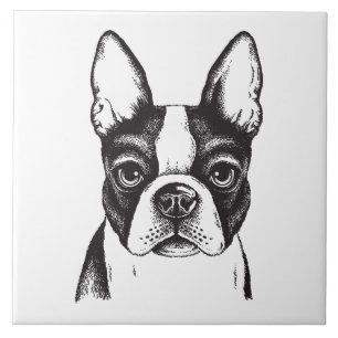 Ik hou van Boston Terriers Tegeltje