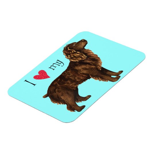 Ik hou van Boykin Spaniel Magneet (Linkerzijde)