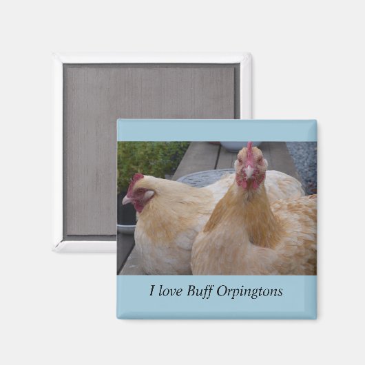 Ik hou van... Buff Orpingtons Kipmagneet Magneet (Voorkant / Achterkant)