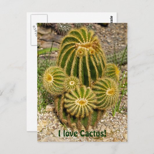 Ik hou van Cactus Briefkaart (Voorkant / Achterkant)