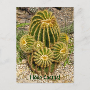 Ik hou van Cactus Briefkaart