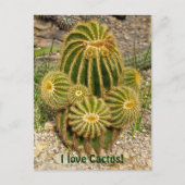 Ik hou van Cactus Briefkaart (Voorkant)
