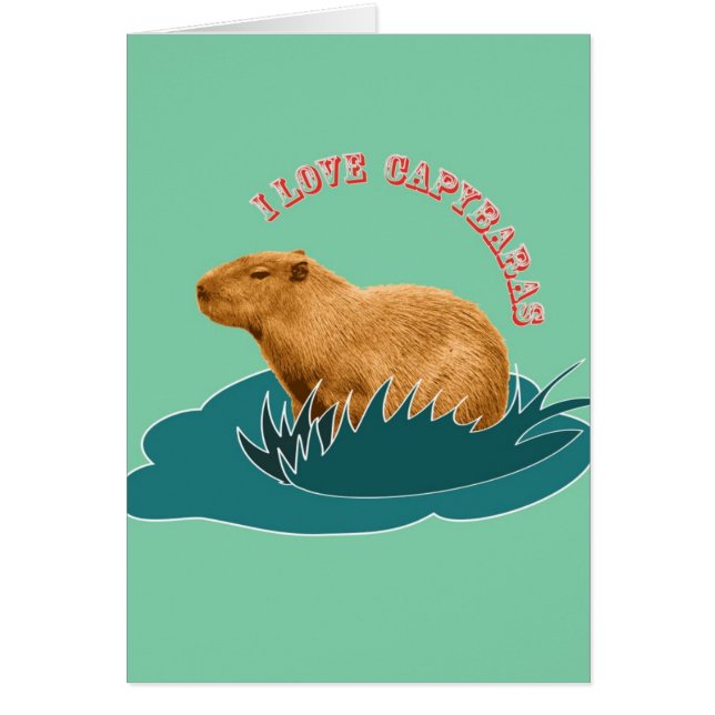Ik hou van capibara's (Voorkant)