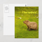 Ik hou van capibara's Ansichtkaart Briefkaart (Voorkant / Achterkant)