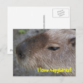 Ik hou van capibara's briefkaart (Voorkant / Achterkant)