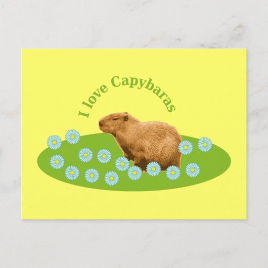 Ik hou van capibara's briefkaart (Voorkant)