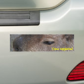 Ik hou van capibara's bumpersticker (Op auto)