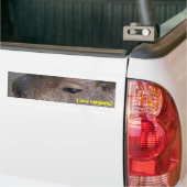 Ik hou van capibara's bumpersticker (Op Truck)