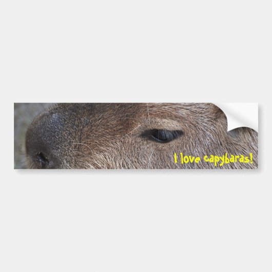 Ik hou van capibara's bumpersticker (Voorkant)