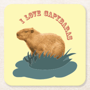 Ik hou van capibara's kartonnen onderzetters
