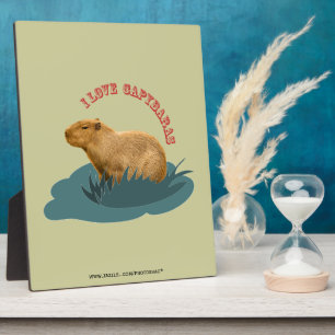 Ik hou van capibara's Knuffel capibara liefhebber Fotoplaat
