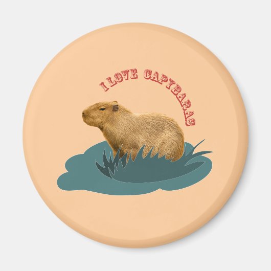 Ik hou van capibara's Knuffel capibara liefhebber Magneet (Voorkant)