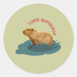 Ik hou van capibara's Knuffel capibara liefhebber Ronde Sticker